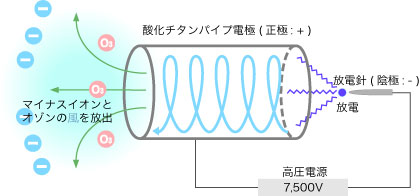 サリールの作用原理